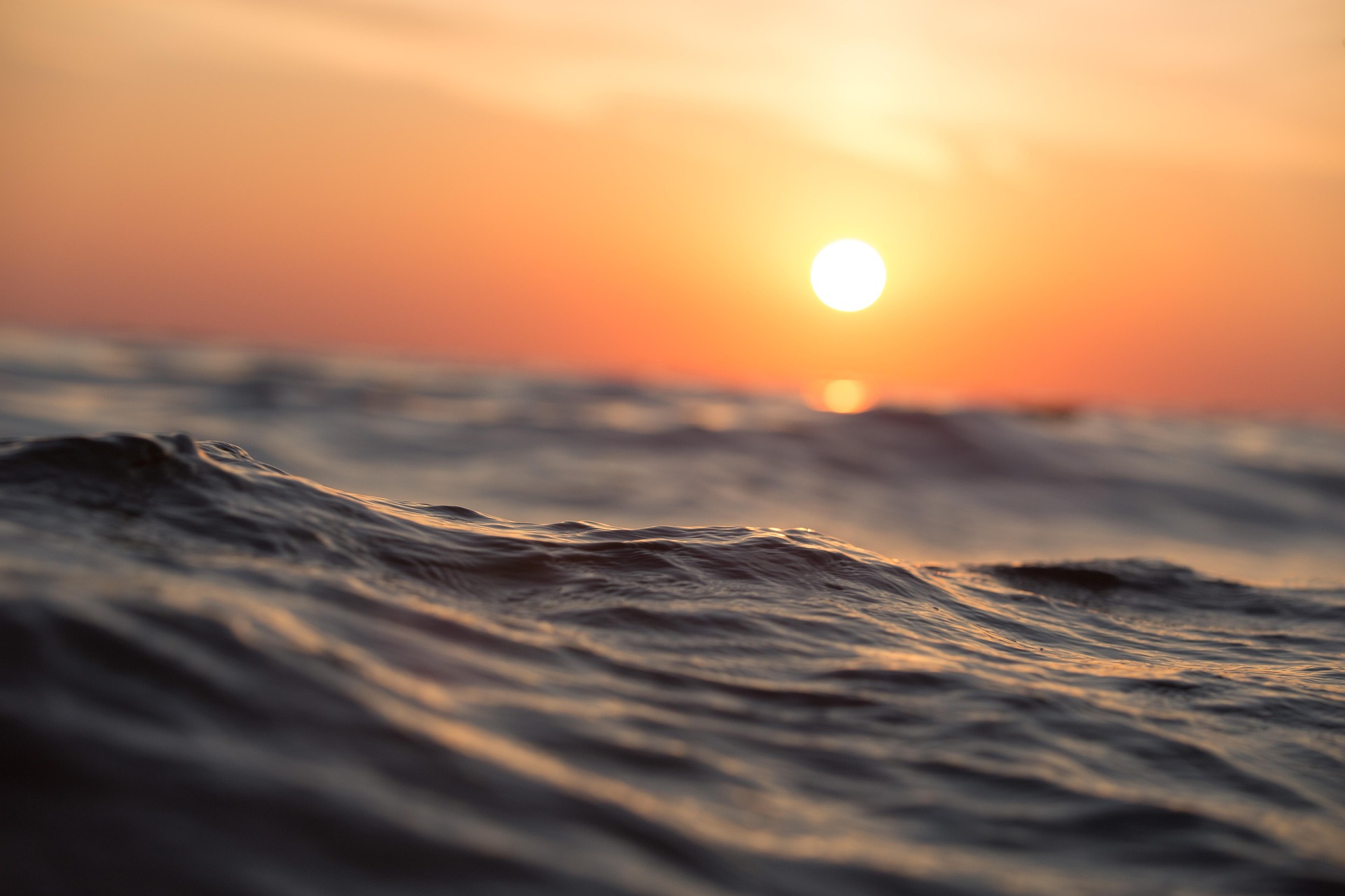 pexels-ocean-1867285_1920.jpg