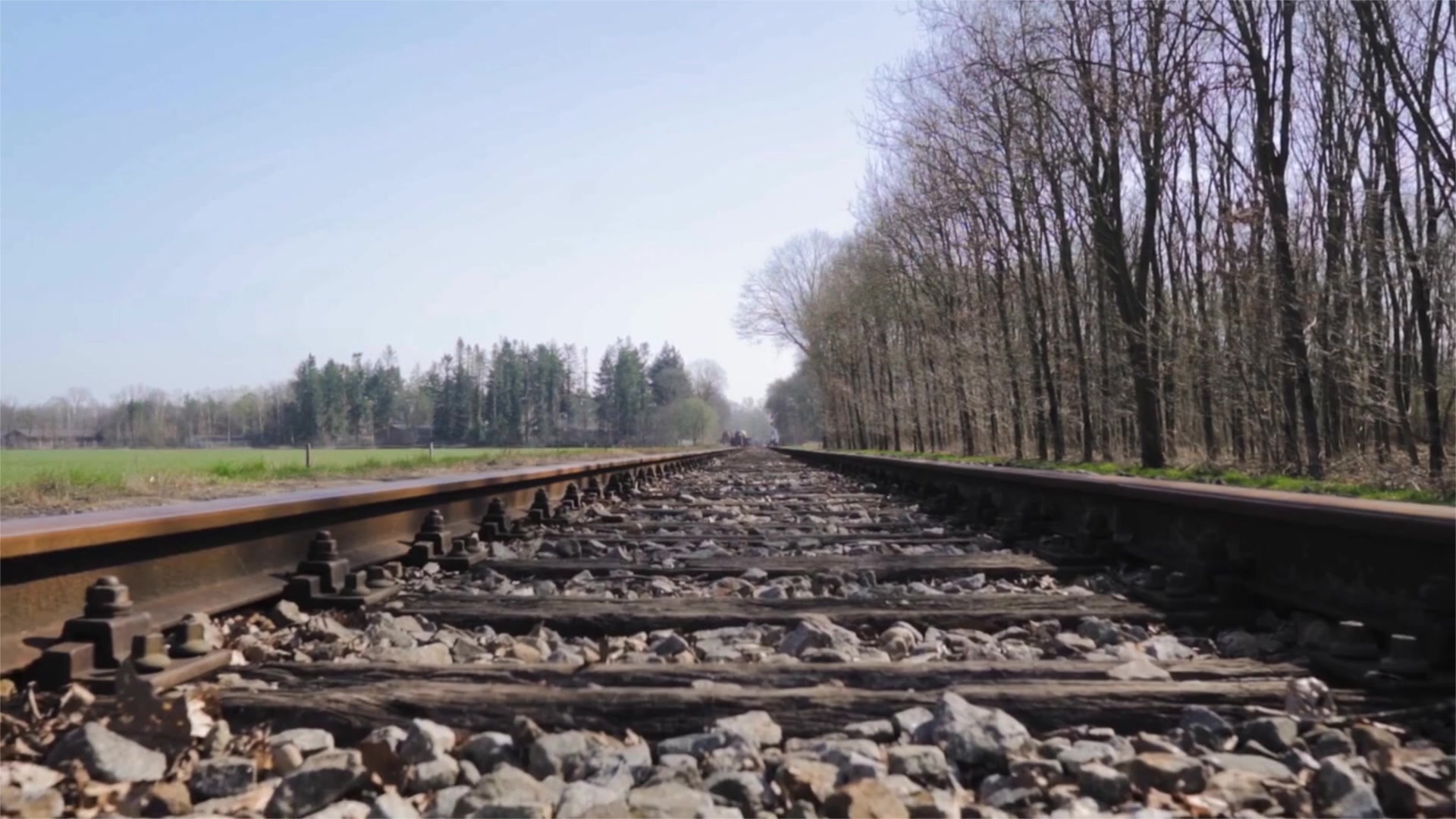 48ac0948-6f84-4cf9-9e18-b70b90d8c6f8.mp4